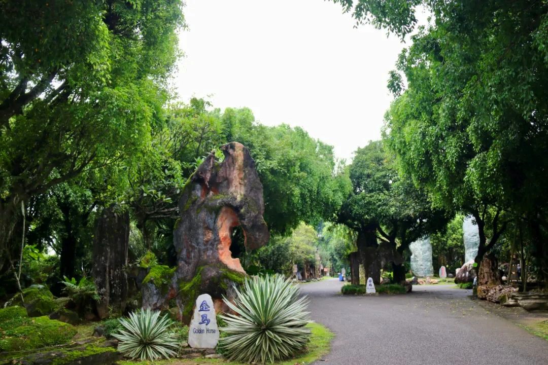 06.jpg
