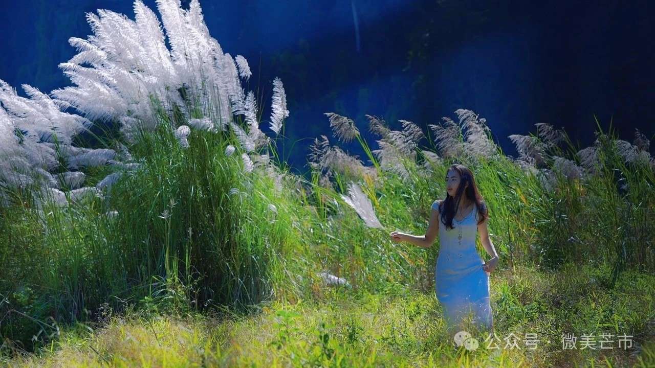 1735635770592430.jpg 微信图片_20241231170058.jpg