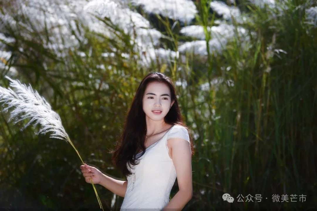 微信图片_20241231170119.jpg