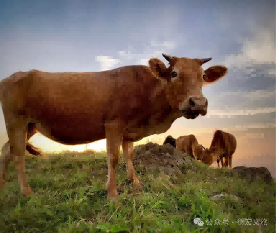 1761722933497347.png 1761722933497347.png