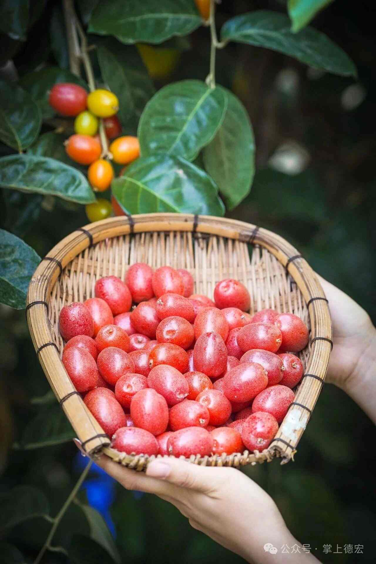 1774858517981534.jpg 1774858517981534.jpg