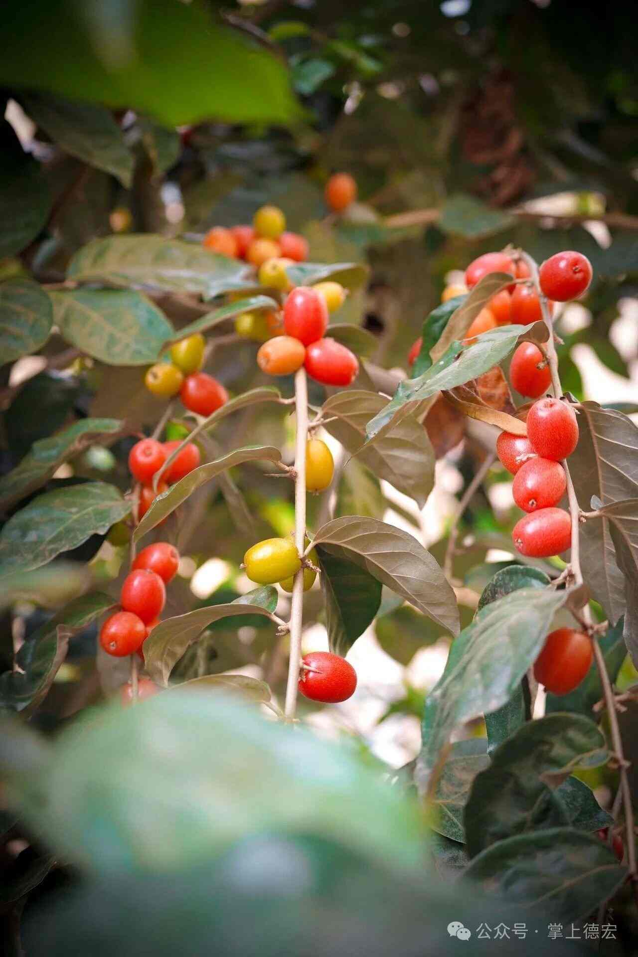 1774858556114223.jpg 1774858556114223.jpg