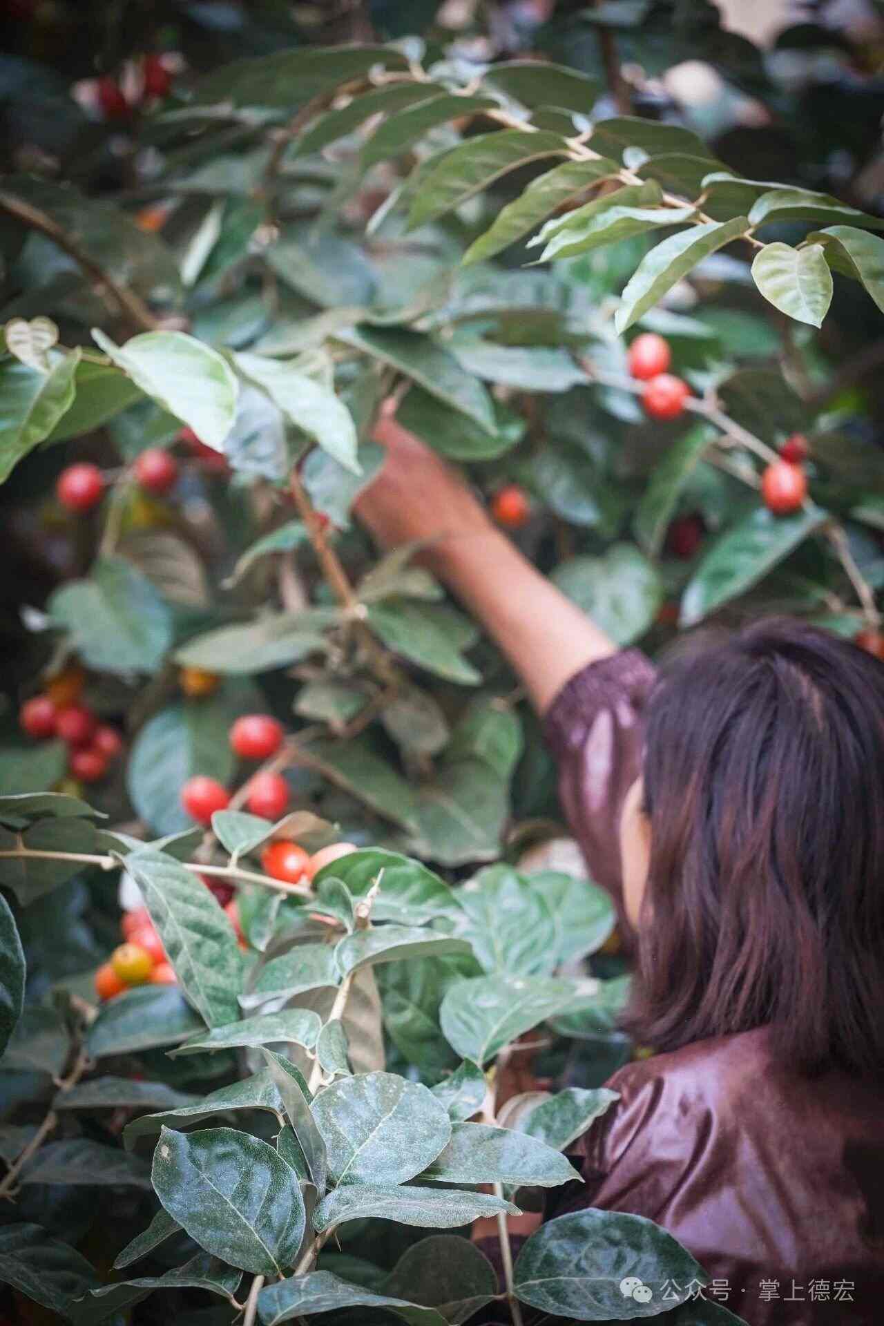 1774858556190027.jpg 1774858556190027.jpg