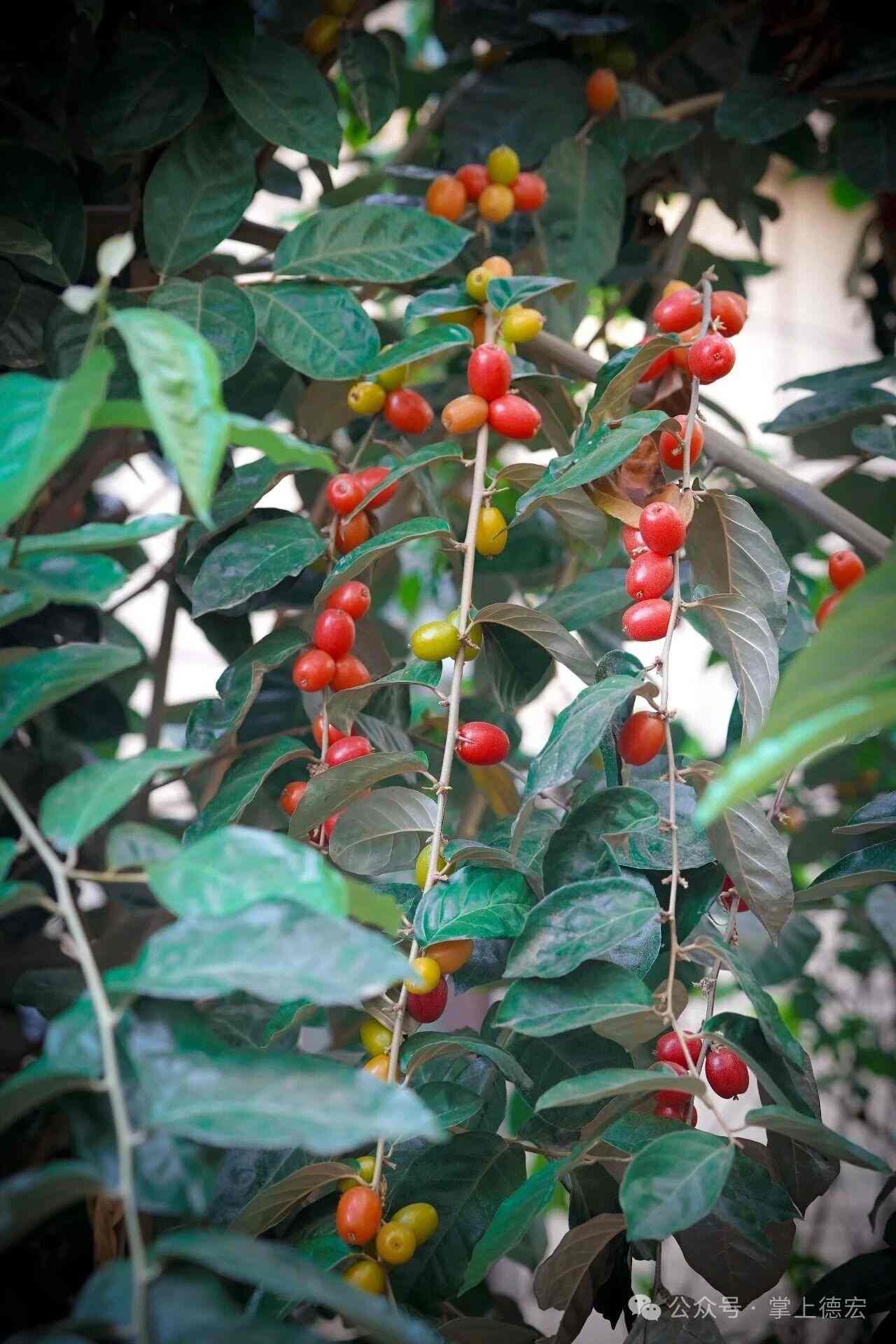 1774858585343319.jpg 1774858585343319.jpg