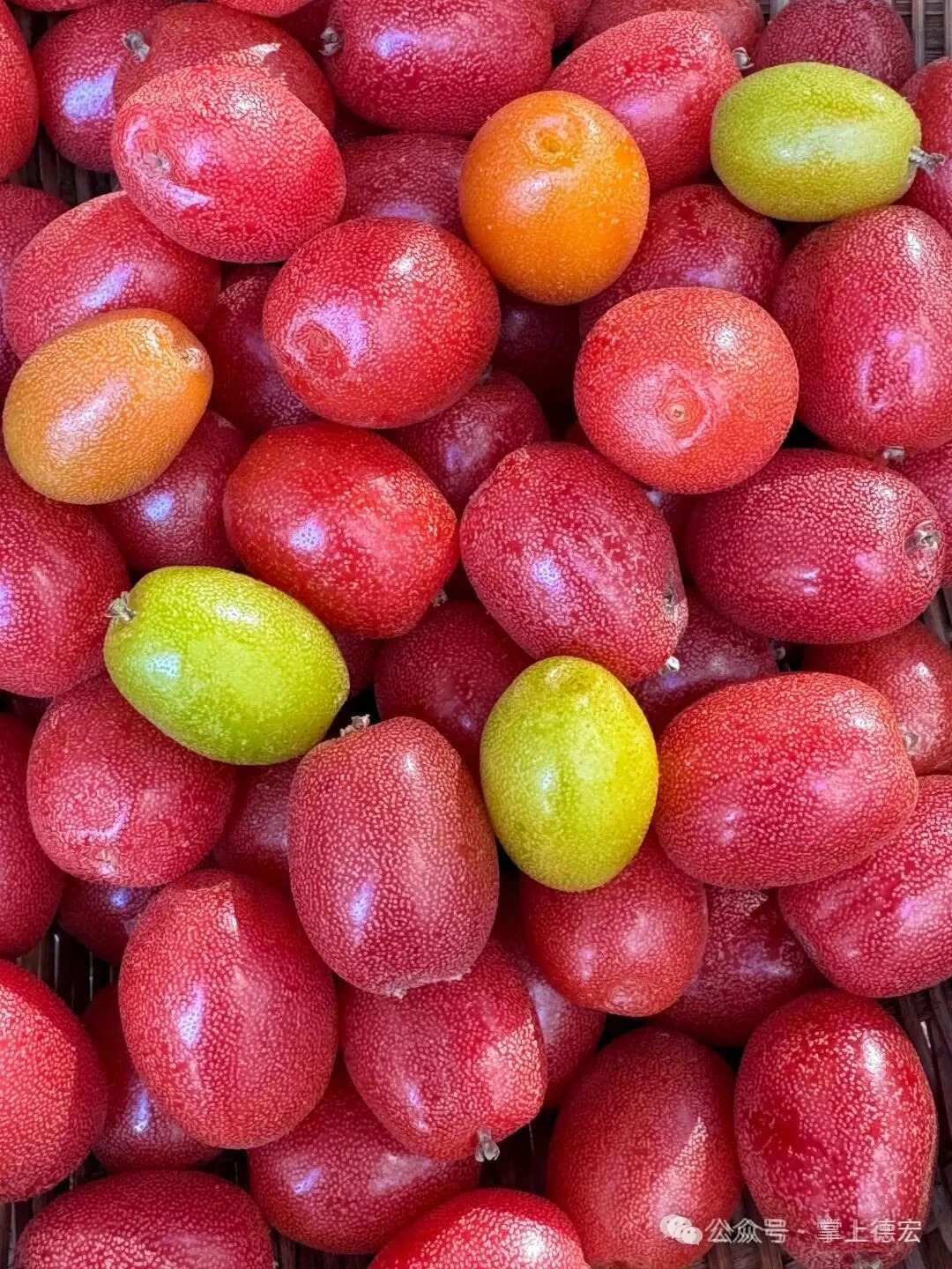 1774858605850786.jpg 1774858605850786.jpg